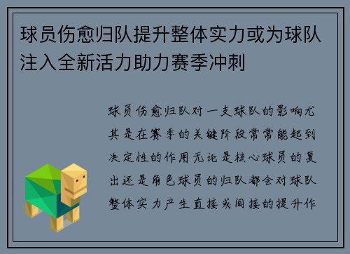 球员伤愈归队提升整体实力或为球队注入全新活力助力赛季冲刺
