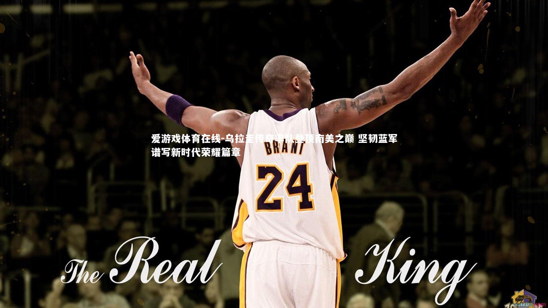 爱游戏体育在线-乌拉圭传奇率队登顶南美之巅 坚韧蓝军谱写新时代荣耀篇章